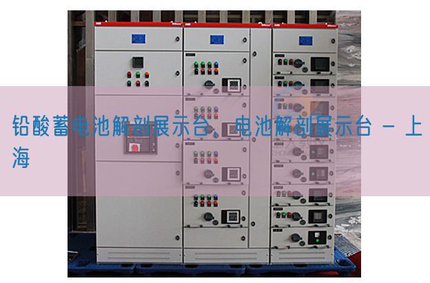 铅酸蓄电池解剖展示台，电池解剖展示台 - 上海(图1)